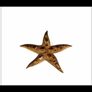 Retro Vintage Gold Star Fish Brooch